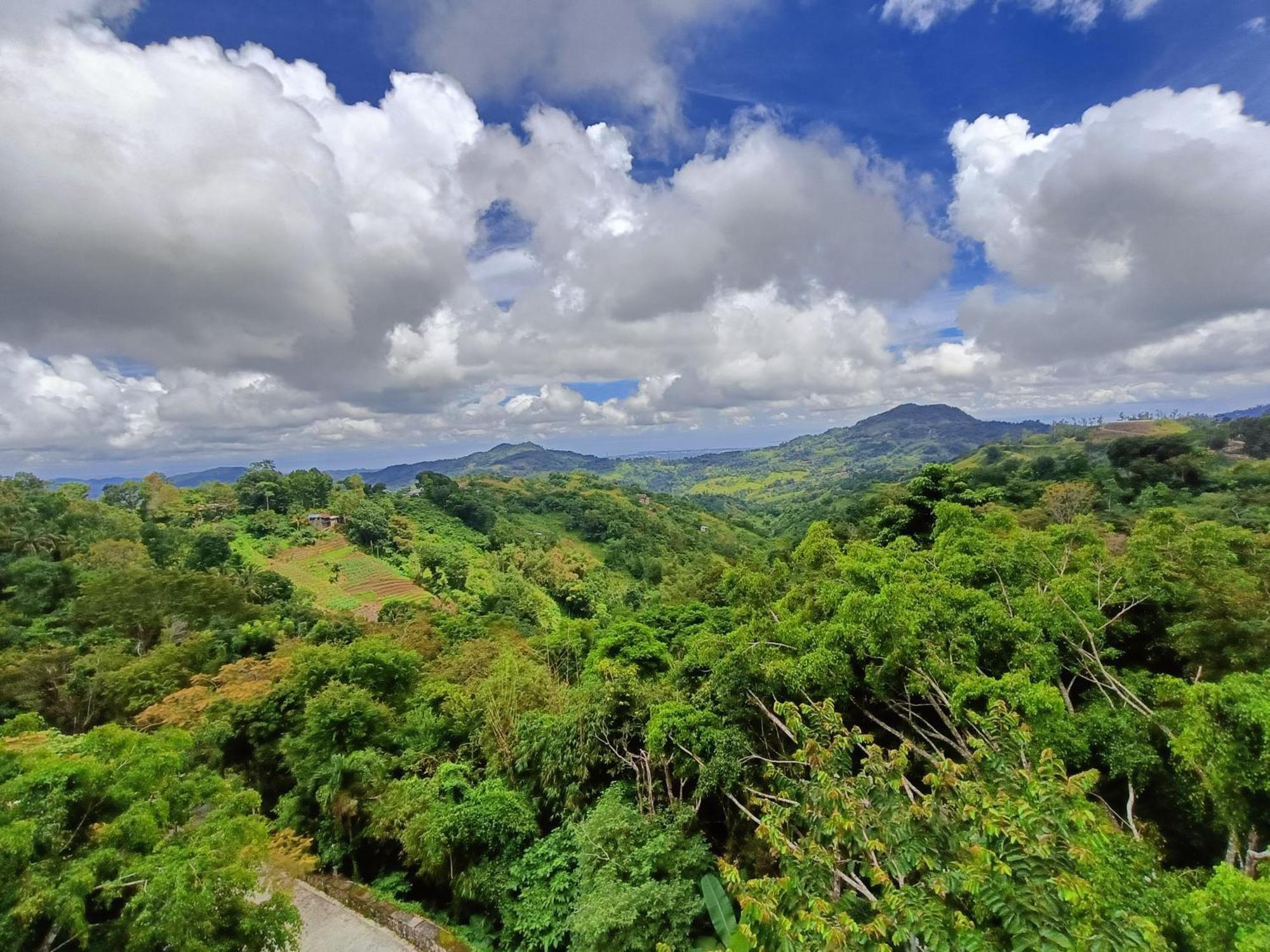Mist Mountain Resort Powered By Cocotel Cebu Exterior foto